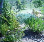 Old Miners Cottages Bed  Breakfast - Kalgoorlie Accommodation
