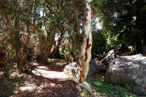 The Hideaway Luxury B & B Retreat - Kalgoorlie Accommodation 6