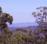 Ravensbourne Escape Cedar Lodge - Kalgoorlie Accommodation