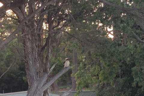 Huskisson Beach B&B - Kalgoorlie Accommodation 2
