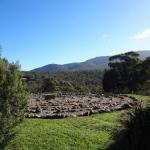 Wickliffe ACT Kalgoorlie Accommodation