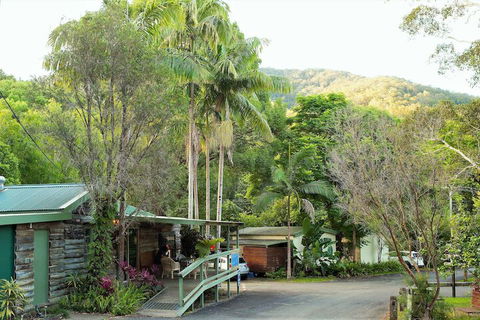 Mt Warning Rainforest Park - Kalgoorlie Accommodation 2
