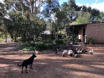 Country Cottages Of Bridgetown - Kalgoorlie Accommodation 1