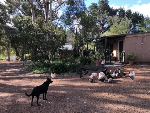 Country Cottages Of Bridgetown - Kalgoorlie Accommodation 4