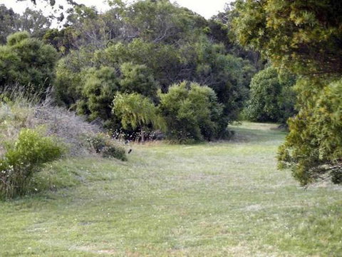 Absolute Waterfront Cottage - Kalgoorlie Accommodation 3