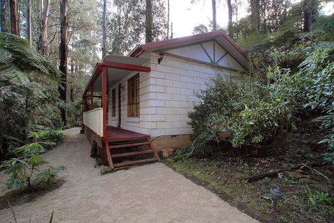 Fernglen Forest Retreat - Kalgoorlie Accommodation 5