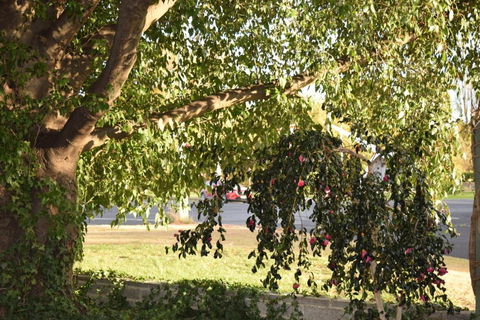 Alkira Motel - Kalgoorlie Accommodation 4