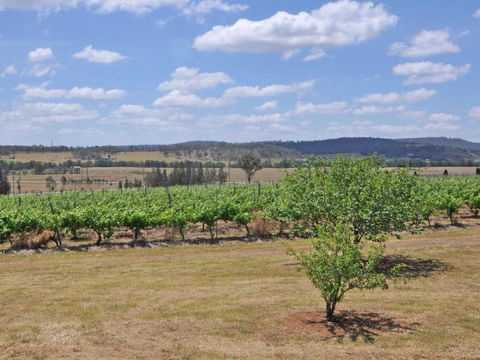 Beggars Bridge Vineyard Homestead W / Pool + Wifi + Tennis + Vineyard - Kalgoorlie Accommodation 2