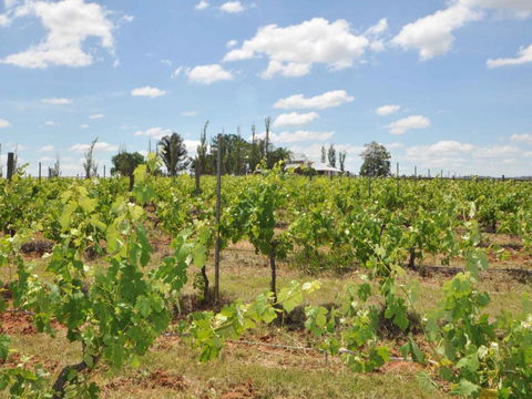 Beggars Bridge Vineyard Homestead W / Pool + Wifi + Tennis + Vineyard - Kalgoorlie Accommodation 1