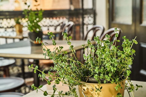 The Bronte Boutique Hotel - Kalgoorlie Accommodation 4