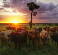 Myella Farm Stay - Kalgoorlie Accommodation