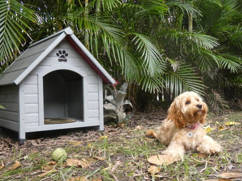 CHILL OUT BEACH HOUSE At FORSTER - Kalgoorlie Accommodation 3