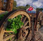 Bellum Hotel - Kalgoorlie Accommodation