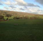 Mancuso Country Cottage Retreat - Kalgoorlie Accommodation