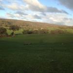 Mancuso Country Cottage Retreat - Kalgoorlie Accommodation 0