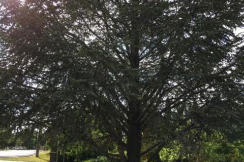 The Glasshouse Boutique Accommodation - Kalgoorlie Accommodation 5