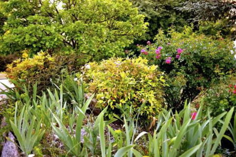 The Glasshouse Boutique Accommodation - Kalgoorlie Accommodation 6