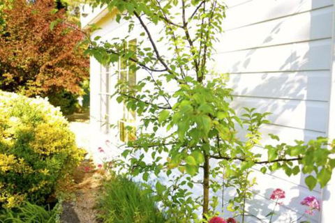 The Glasshouse Boutique Accommodation - Kalgoorlie Accommodation 4