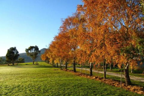 Plovers Ridge Country Retreat - Kalgoorlie Accommodation 6