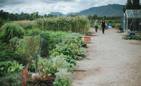 Margan Restaurant - Kalgoorlie Accommodation 6