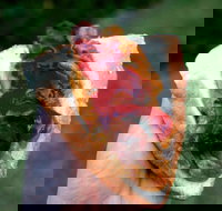 Bunnings Restaurant - Kalgoorlie Accommodation