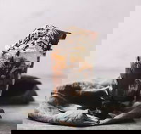 Only Mine - Kalgoorlie Accommodation