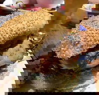 Bistro 121 - Mildura Working Man's Club - Kalgoorlie Accommodation