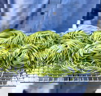 Young Barons - Kalgoorlie Accommodation