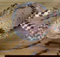 PN's Daily Scoop - Kalgoorlie Accommodation