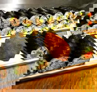 Freewave Sushi  Burgers - Kalgoorlie Accommodation