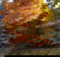 Stella Kitchen Chinese Take Away - Kalgoorlie Accommodation