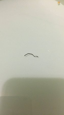 Forde ACT Kalgoorlie Accommodation