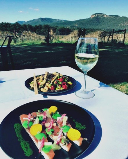 Mount Broke Wines Restaurant - Kalgoorlie Accommodation 2