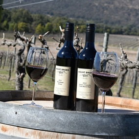 Mount Broke Wines Restaurant - Kalgoorlie Accommodation 5