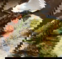 Yummy Yalla Restaurant - Kalgoorlie Accommodation