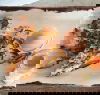 Little Collins - Kalgoorlie Accommodation