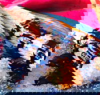 Donut King - Frankston - Kalgoorlie Accommodation