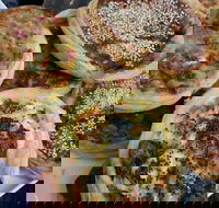 The Re Store Northbridge - Kalgoorlie Accommodation