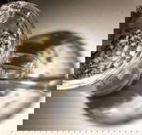 T Totaler - Newtown - Kalgoorlie Accommodation