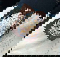 8th Nerve Cafe - Kalgoorlie Accommodation