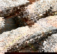 Infinity Bakery - Paddington - Kalgoorlie Accommodation