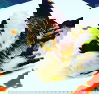 Dumpling Yum Cha Ballina - Kalgoorlie Accommodation