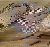 PN's Daily Scoop - Kalgoorlie Accommodation