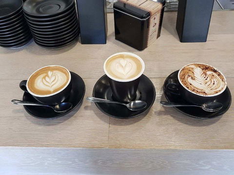 Little Frenchie & Co - Kalgoorlie Accommodation 0