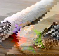 Le Wrap - Rhodes - Kalgoorlie Accommodation