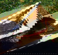 Byron Juice Bar - Kalgoorlie Accommodation