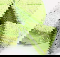 Furuta Dessert House - Glen Waverley - Kalgoorlie Accommodation