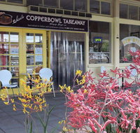 Sai's Copper Bowl - Kalgoorlie Accommodation