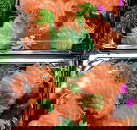 Sushi Izakaya Bar - Kalgoorlie Accommodation