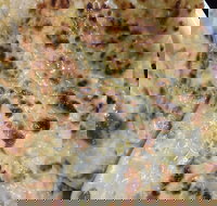 Indian Curry Cuisine